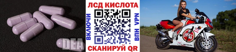 KRAKEN ссылка  дарк нет состав  Лсд 25 экстази ecstasy  Курчатов 