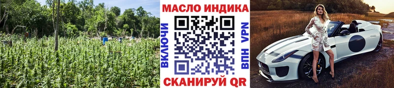 купить закладку Курчатов ТГК гашишное масло
