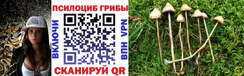 Галлюциногенные грибы MAGIC MUSHROOMS Курчатов