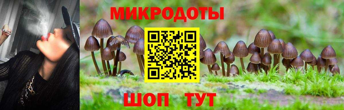 где можно купить наркотик  Галлюциногенные грибы Magic Shrooms  Вход с VPN  Курчатов 